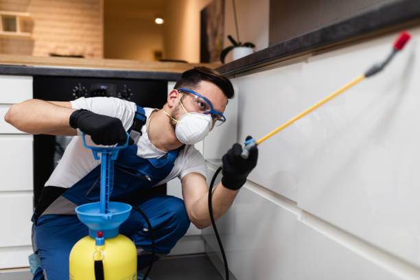 Reliable Judson, SC Pest Control Solutions