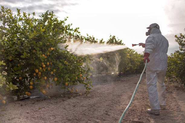 Best Pest Removal Services  in Judson, SC
