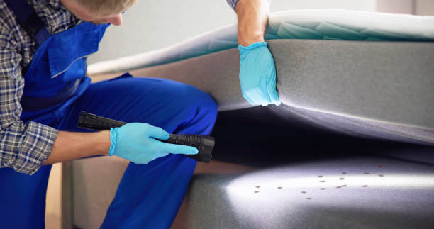 Best Flea Control Services  in Judson, SC
