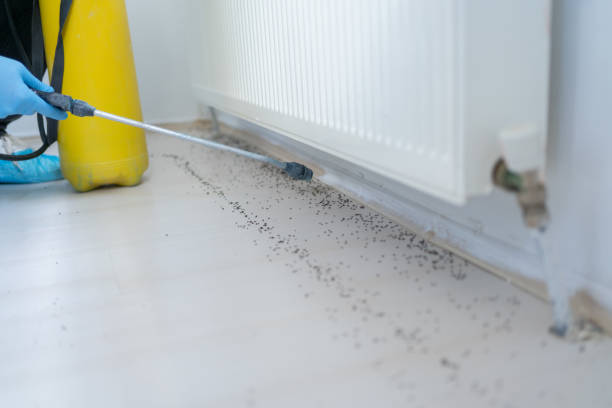 Best Residential Pest Control  in Judson, SC