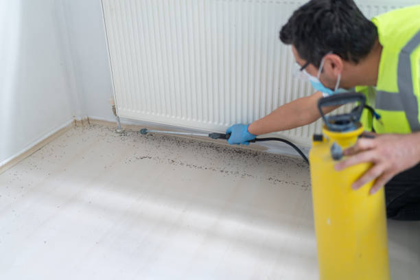 Best Mosquito Control Services  in Judson, SC